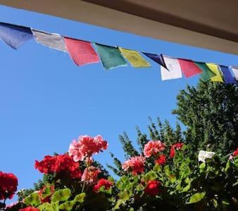 Bed&Breakfast Bonn Exterior foto